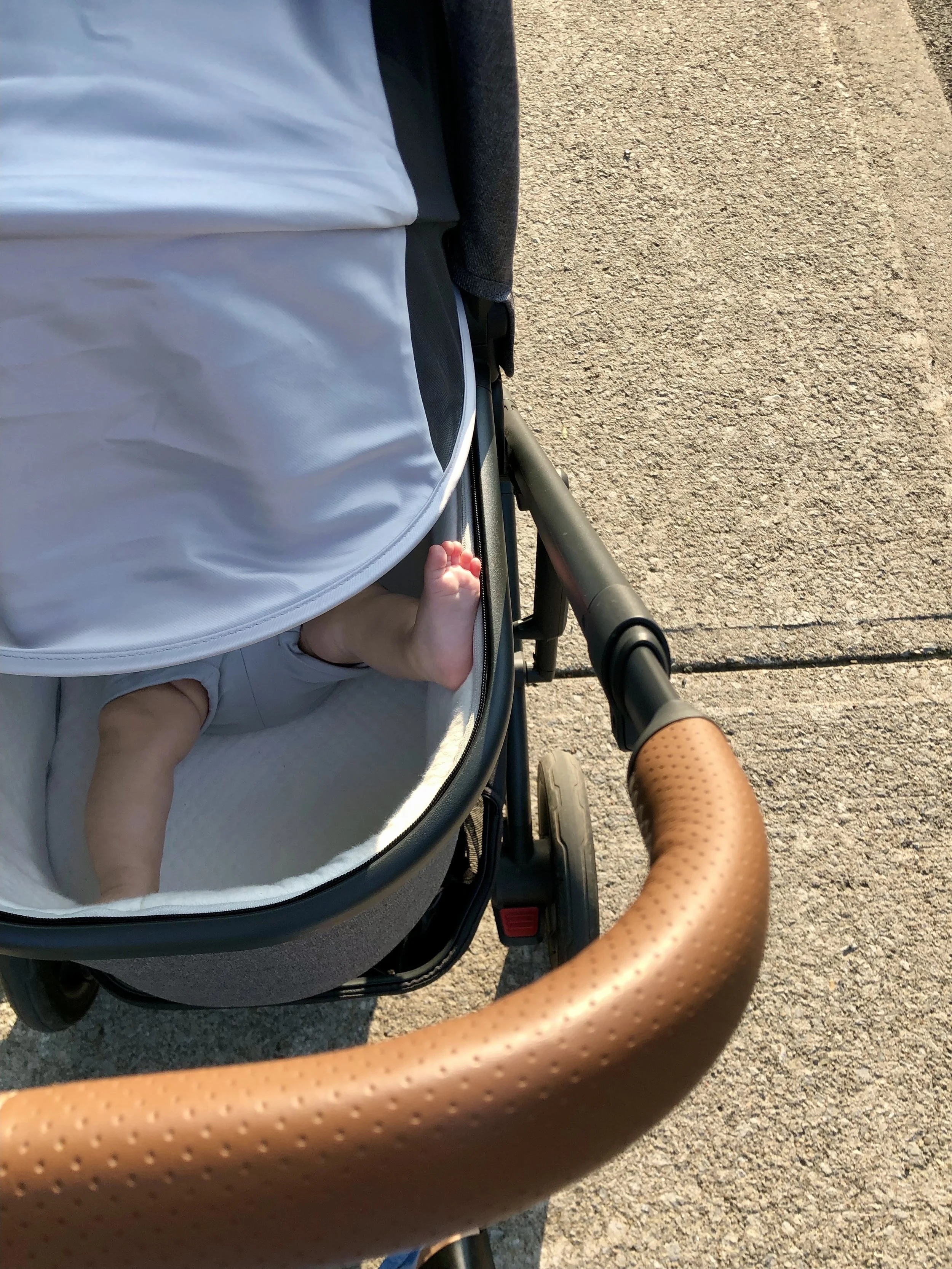 Connection, Community and Stroller Walk