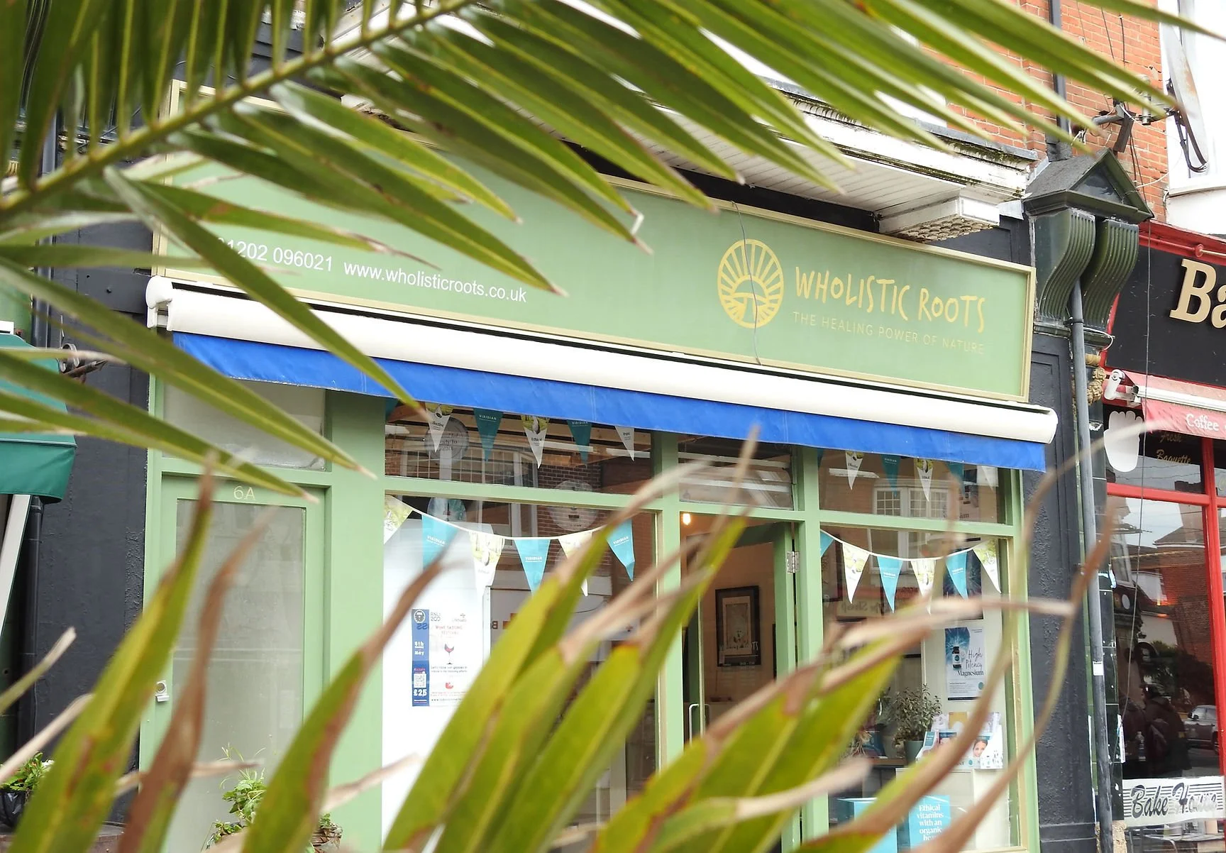 Green storefront with a sign reading 'Wholistic Roots: The Healing Power of Nature' and decorated with small flags, seen through some palm leaves.