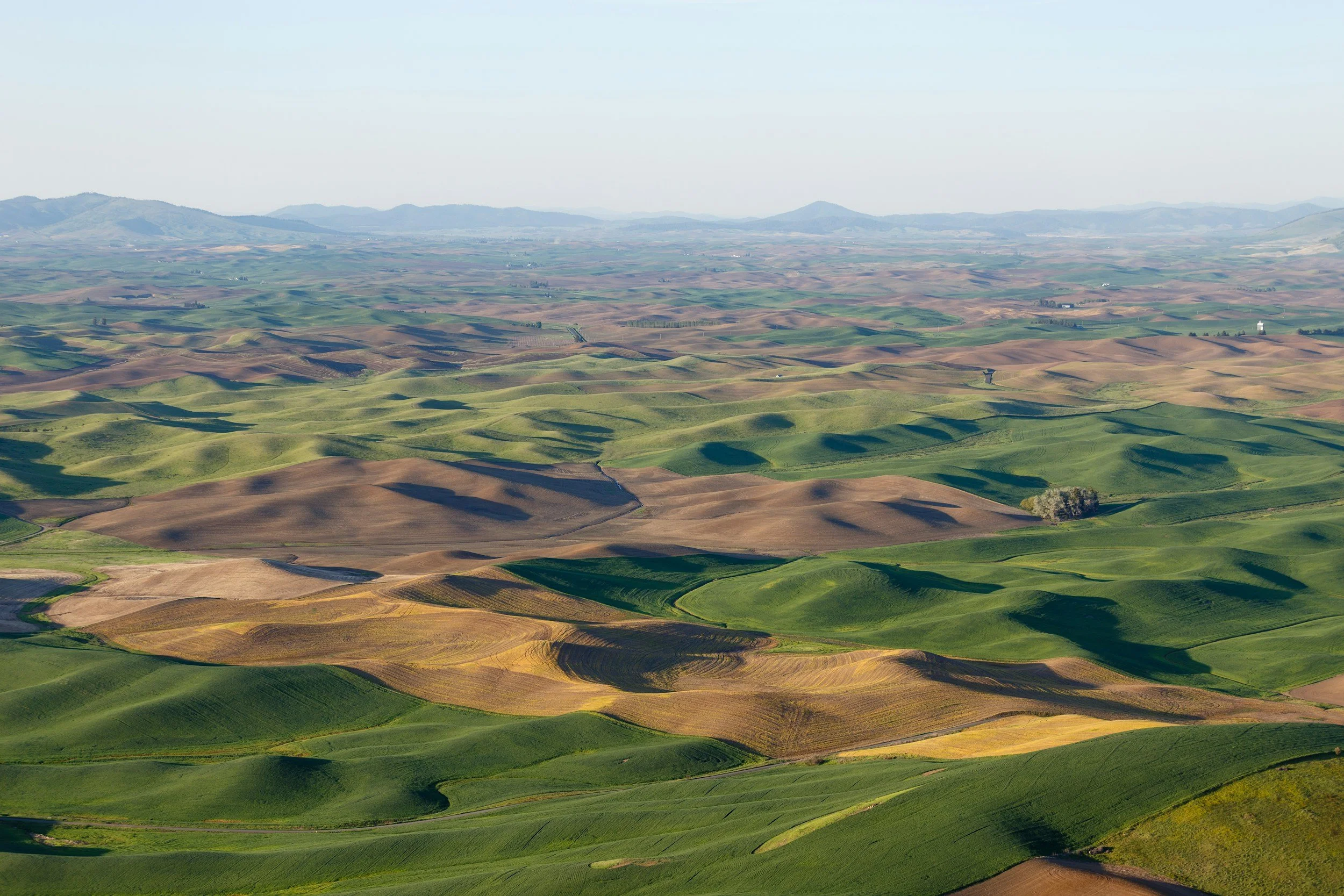 Aerial view of rolling hills with patches of green and brown fields, stretching into the horizon with distant mountains under a clear sky.