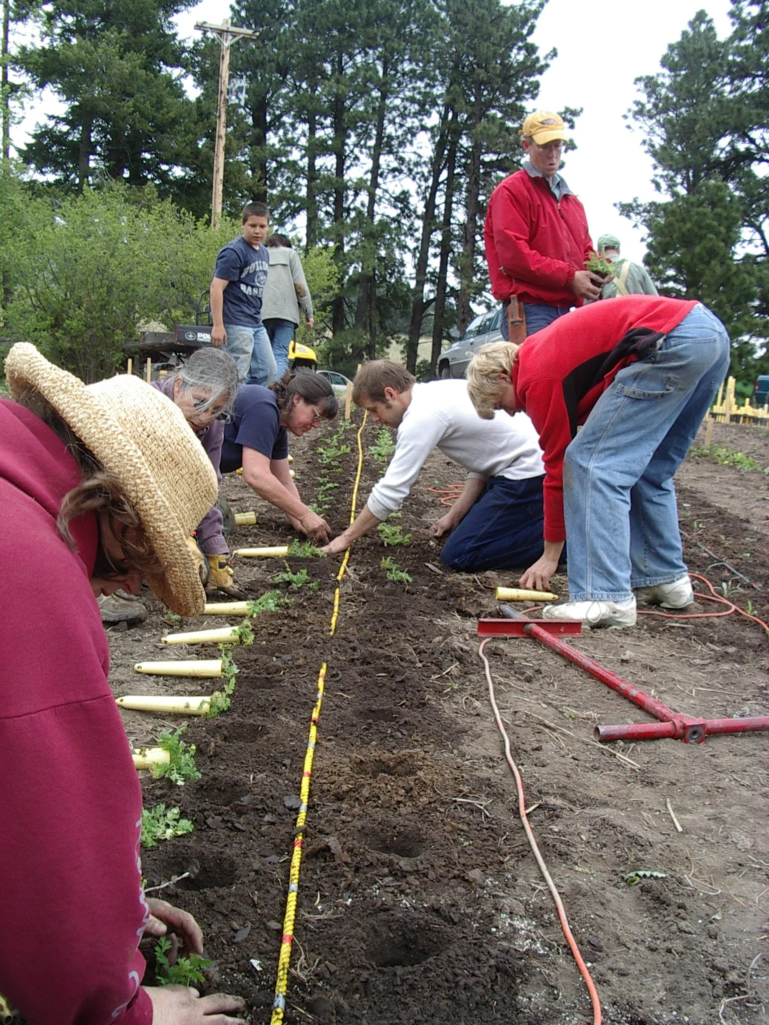 A group of people planting seedlings in a garden bed, kneeling along a yellow measuring tape, with tools and plants in a community gardening setting.