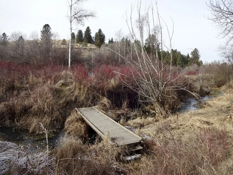 A small wooden bridge over a creek in a rural landscape with trees and shrubs, some without leaves.