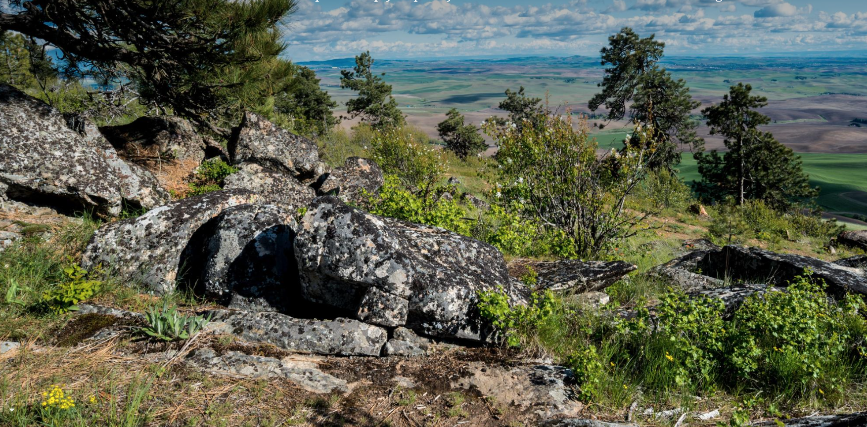 Rocks, trees, shrubs, and a view of rolling farmland and a partly cloudy sky in the distance.
