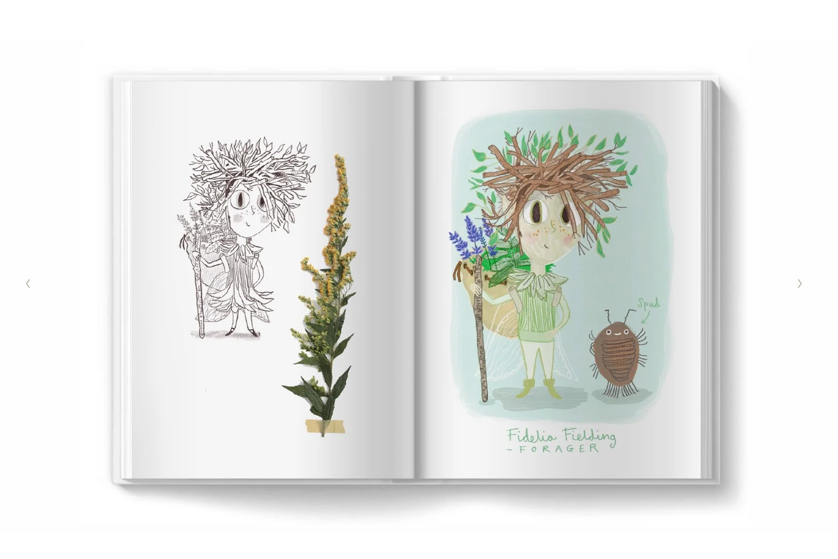 Book 