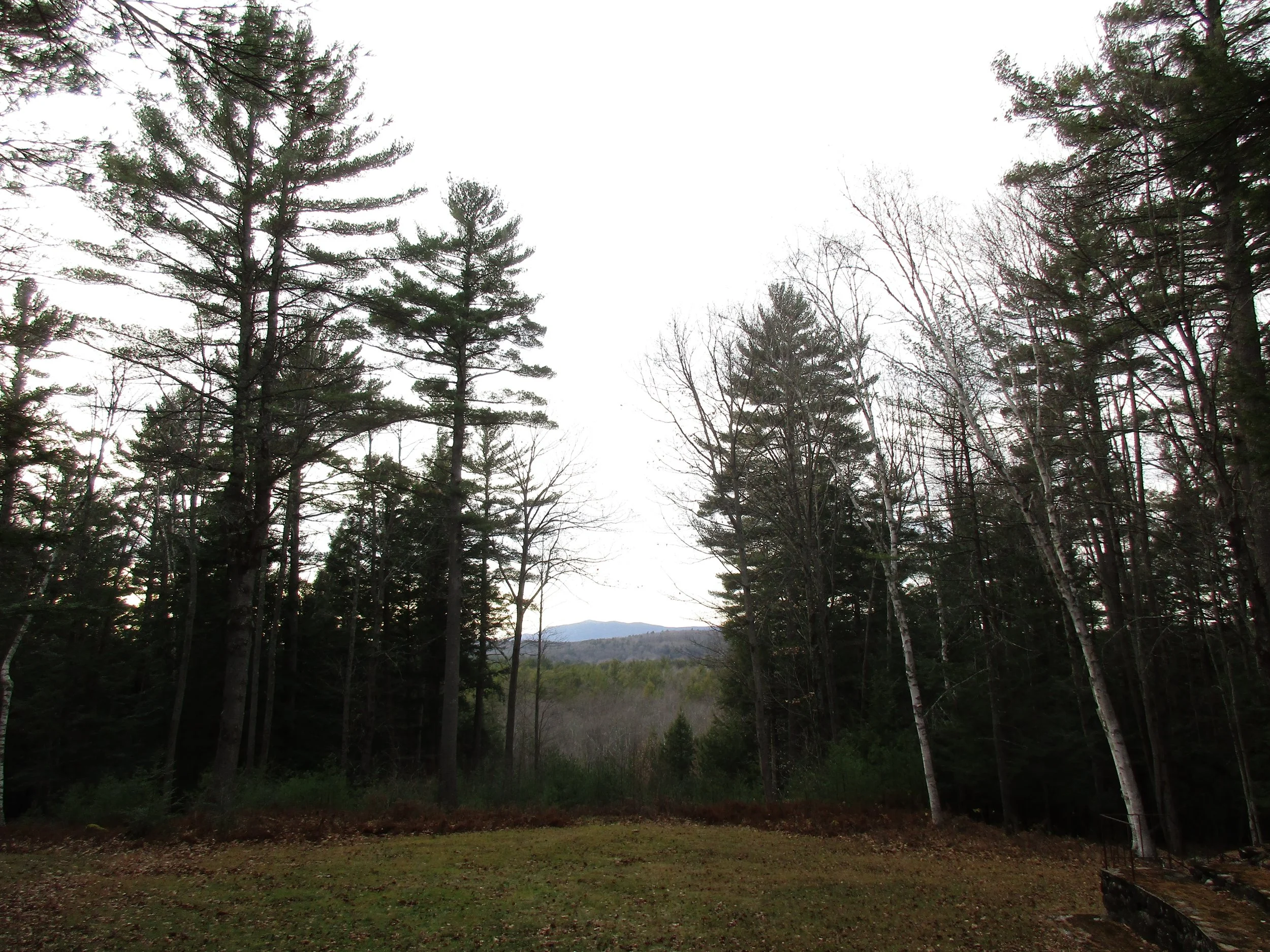 Mount Monadnock, composing retreat, MacDowell