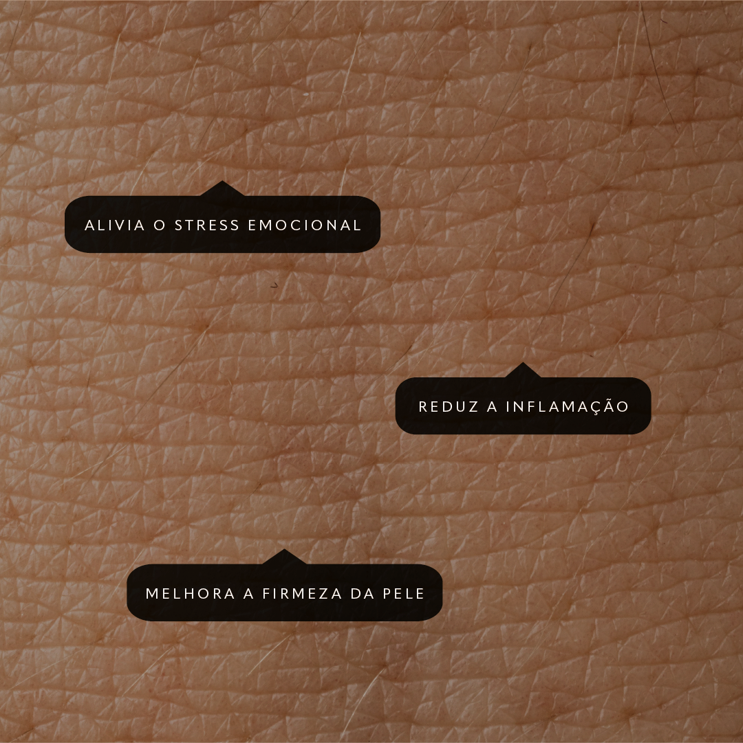 Prancheta 1 cópia 11.png