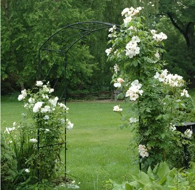 Monet flowers.jpg