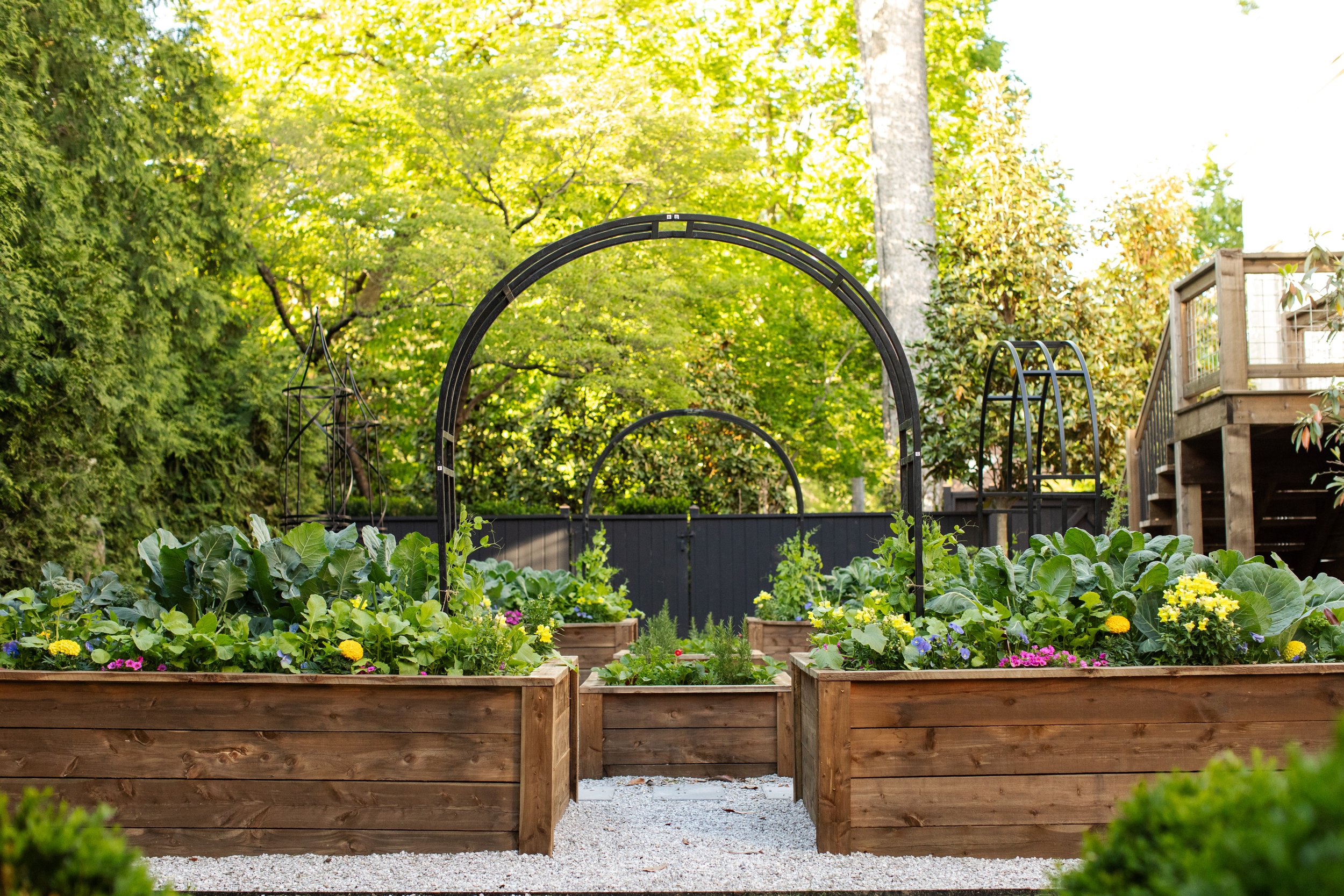 GROW - Garden Consultation