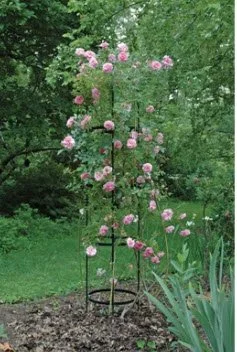 large obelisk.jpg