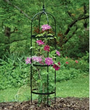 Small Rose Pillar Obelisk.jpg