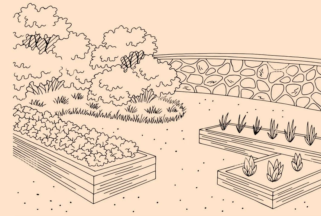 Garden plan drawing.jpg