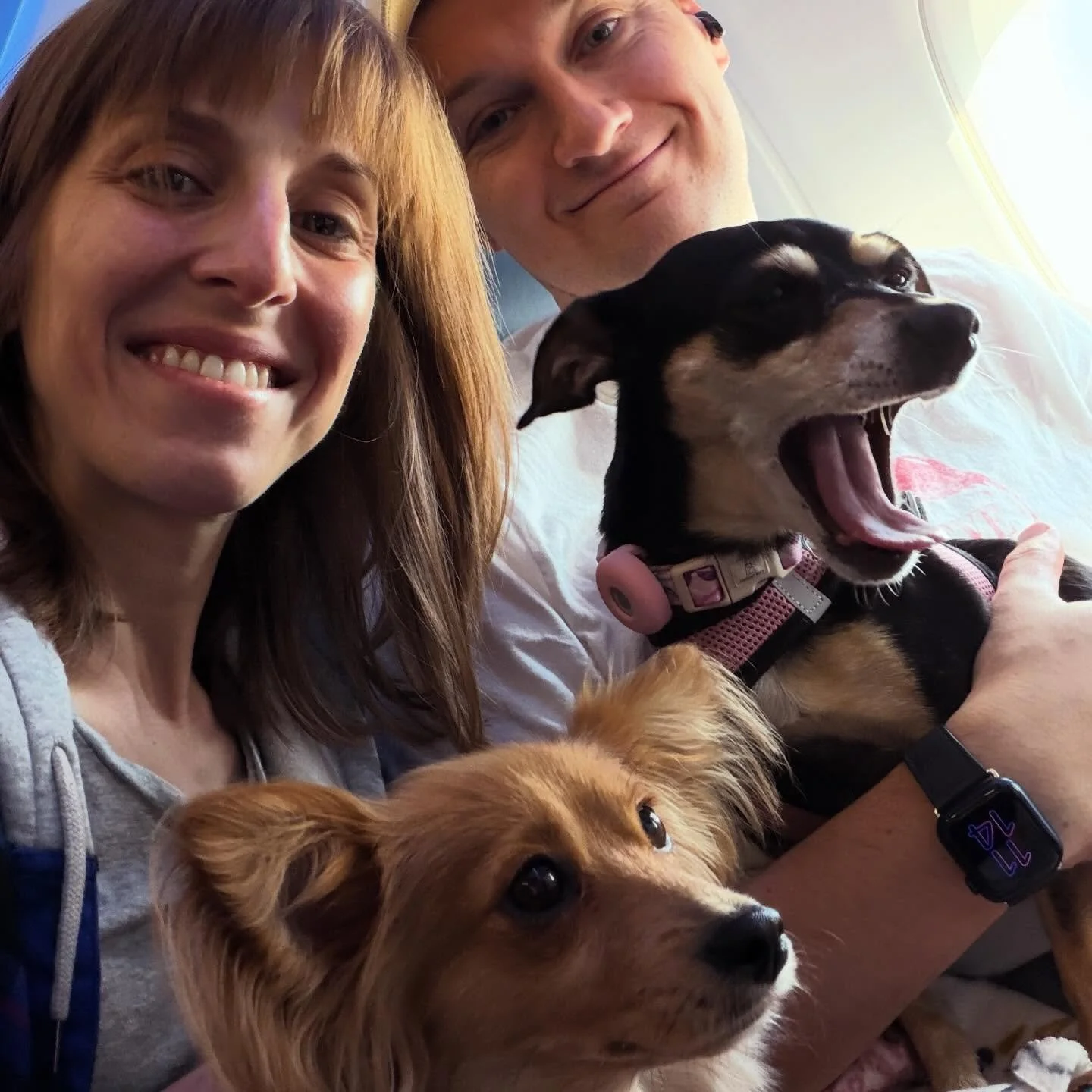 A December for the books, indeed. 📚 Staying Grateful into 2026.