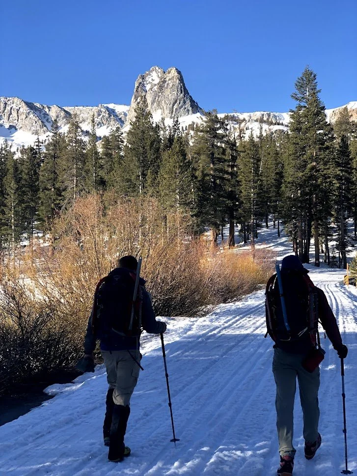Two hikers walking on a snow-covered trail through a forest with tall pine trees, mountains in the background, and a clear blue sky.