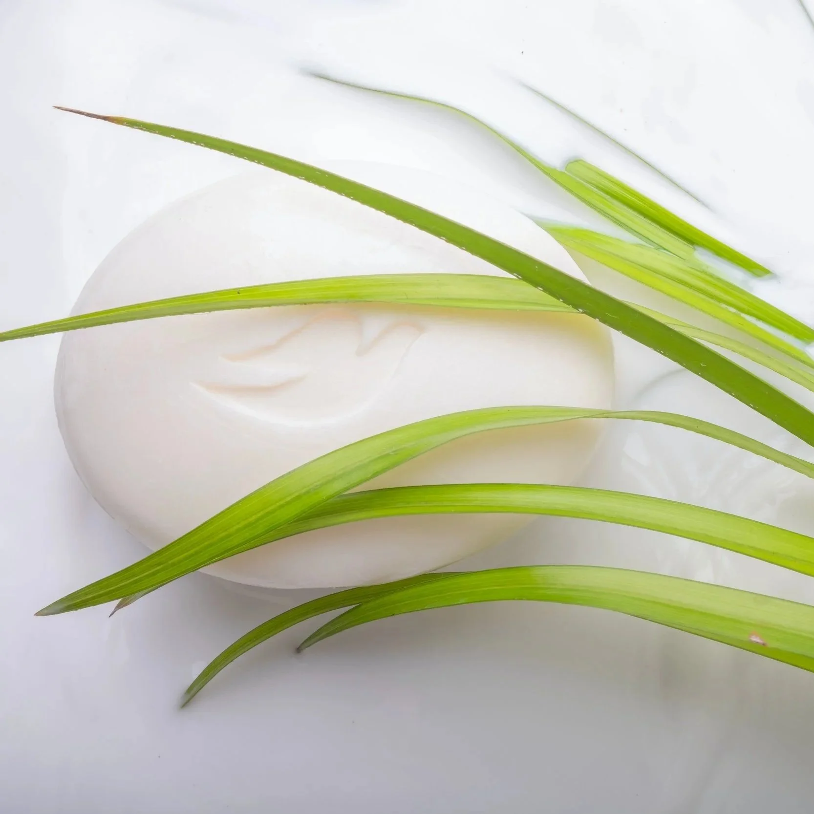 Globalisation of Award-Winning Dove Beauty Campaigns