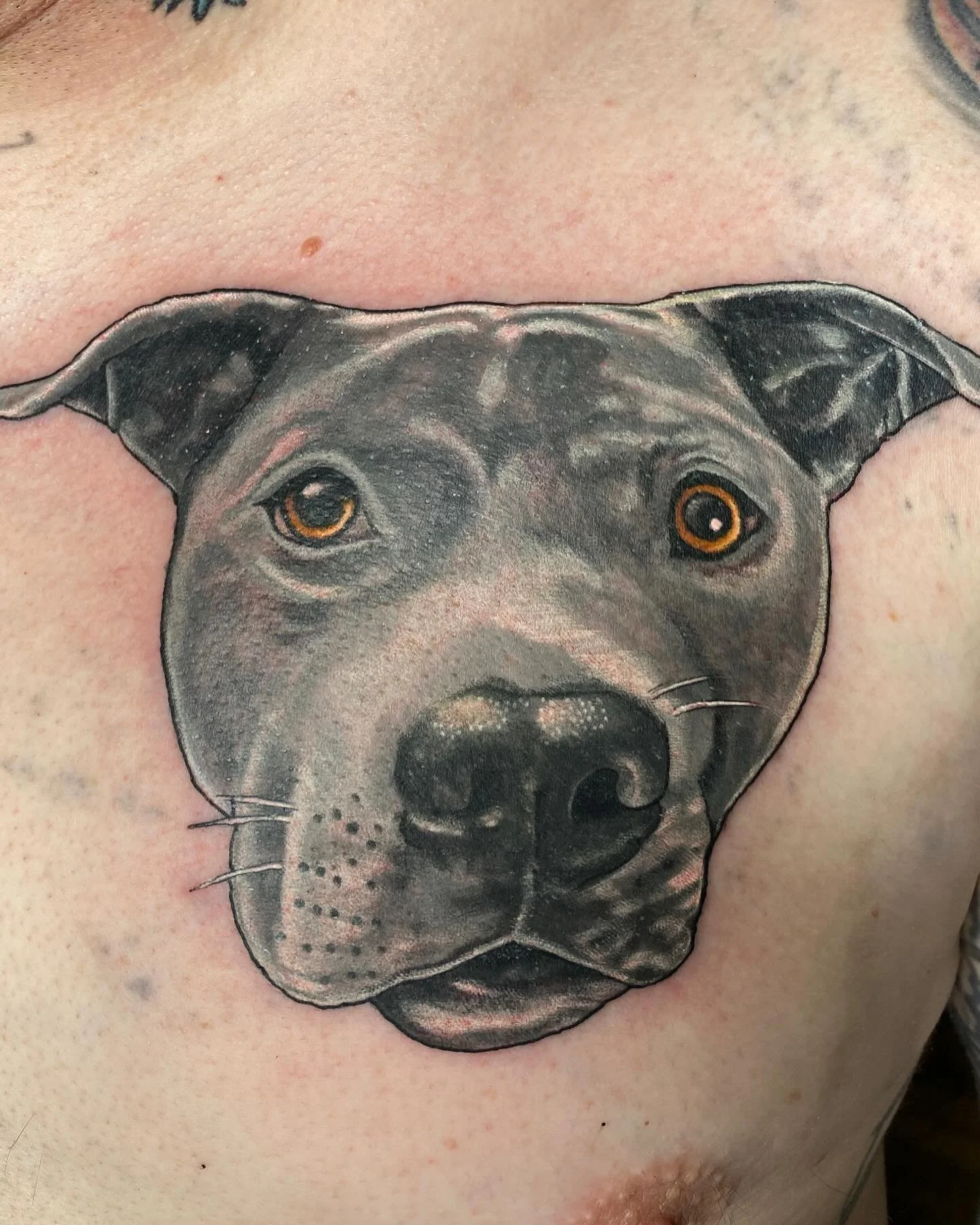 Tattoo of a realistic dog face on person's skin.