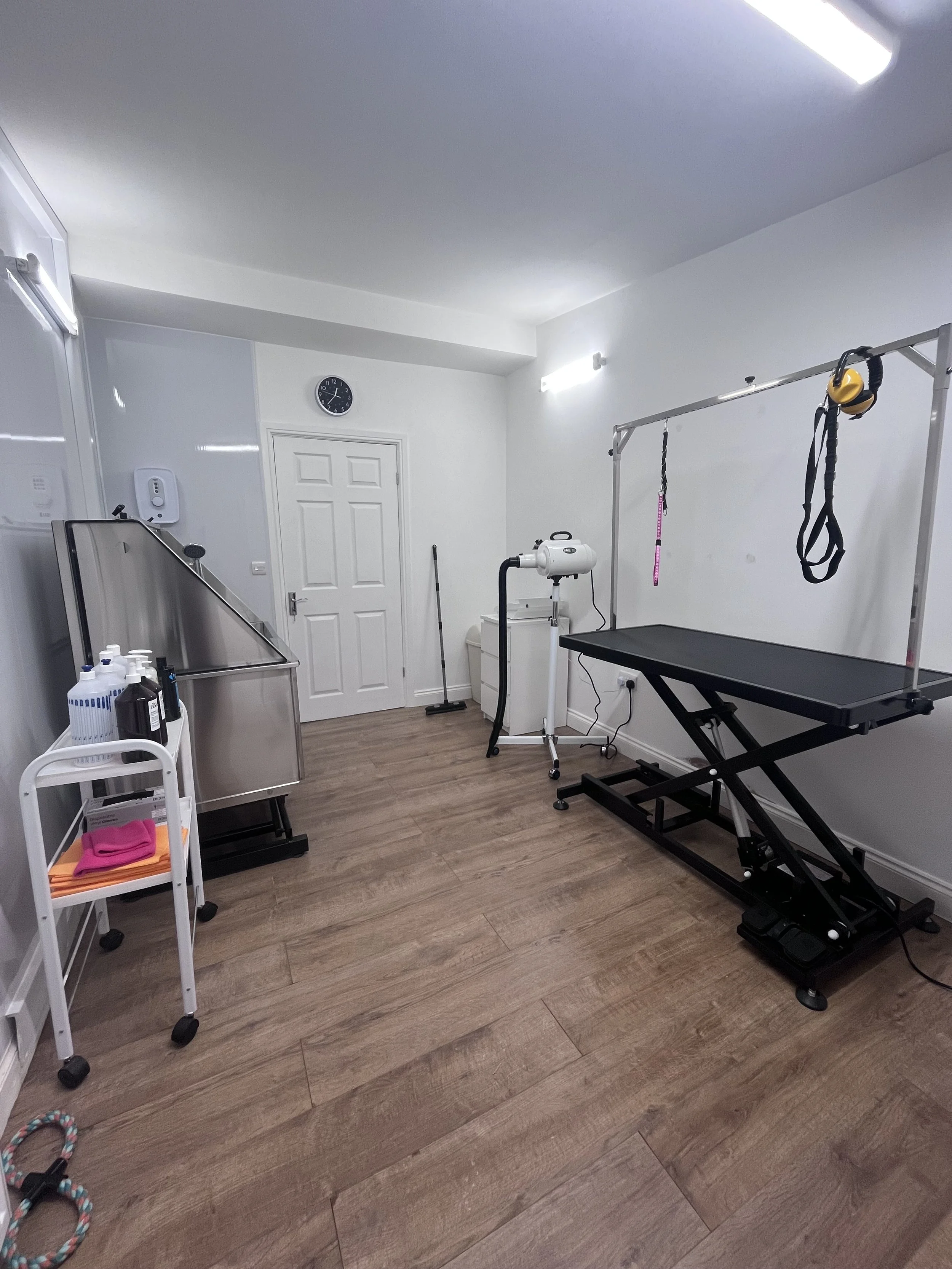 A veterinary examination room with a grooming table, grooming arm, and hanging harness. There are disinfectant bottles on a cart, a white door, a wall-mounted hand sanitizer dispenser, and a wall clock. The room has white walls and wood-like flooring.