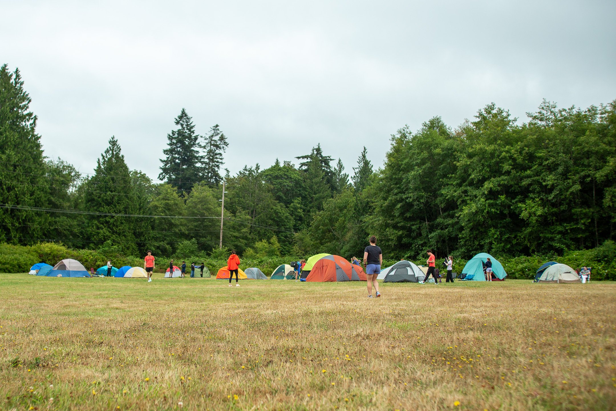 Campers' tents set up in a grassy field at Cascadia Running Camp.