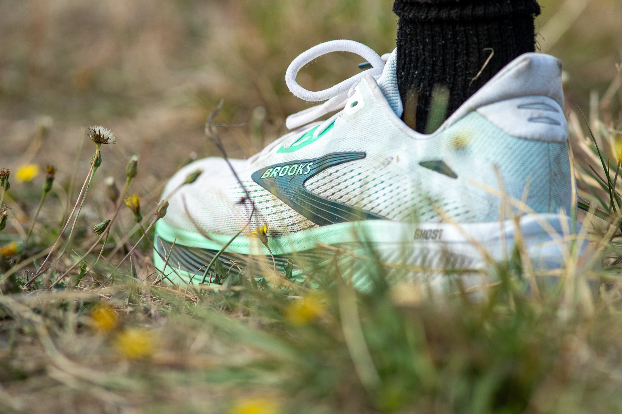 Close-up of a white Brooks running shoe with green accents, worn with black socks, lying on a grassy ground with small yellow flowers.
