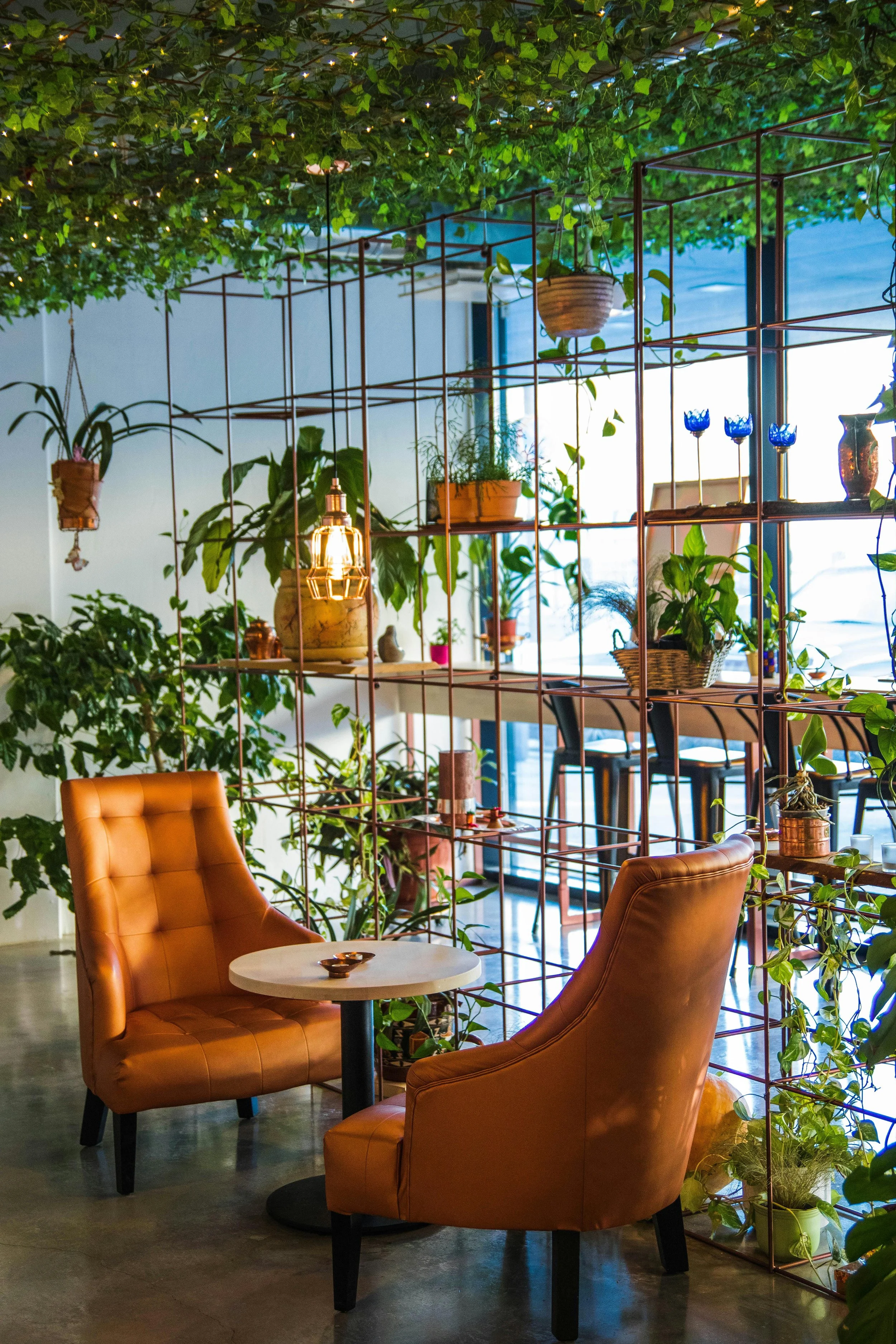 A cozy indoor coffee shop with two tan leather chairs and a small round table, surrounded by a grid of metal shelves filled with potted plants, decorative items, and a hanging light bulb, with a window in the background letting in natural light.