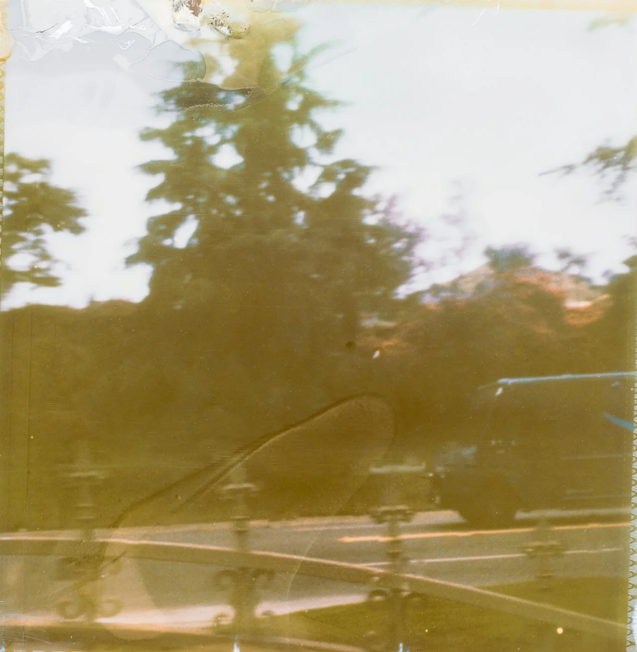 A reflection of trees and sky on a glass window with an overlay of a sign reading "The Beach House"