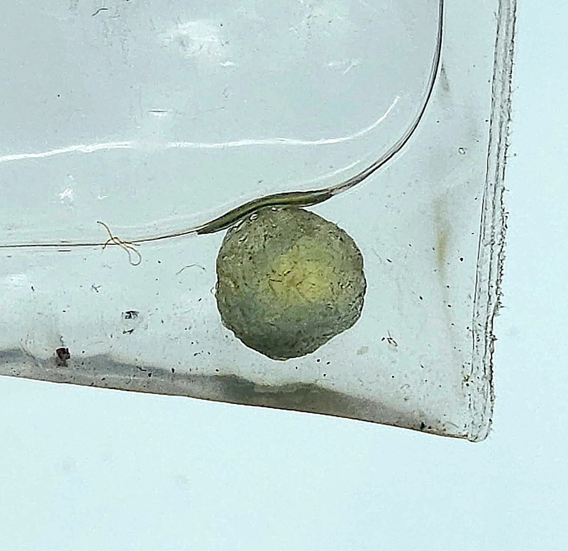 A small rough Montana Sapphire in a clear bag submerged in oil against a light table.