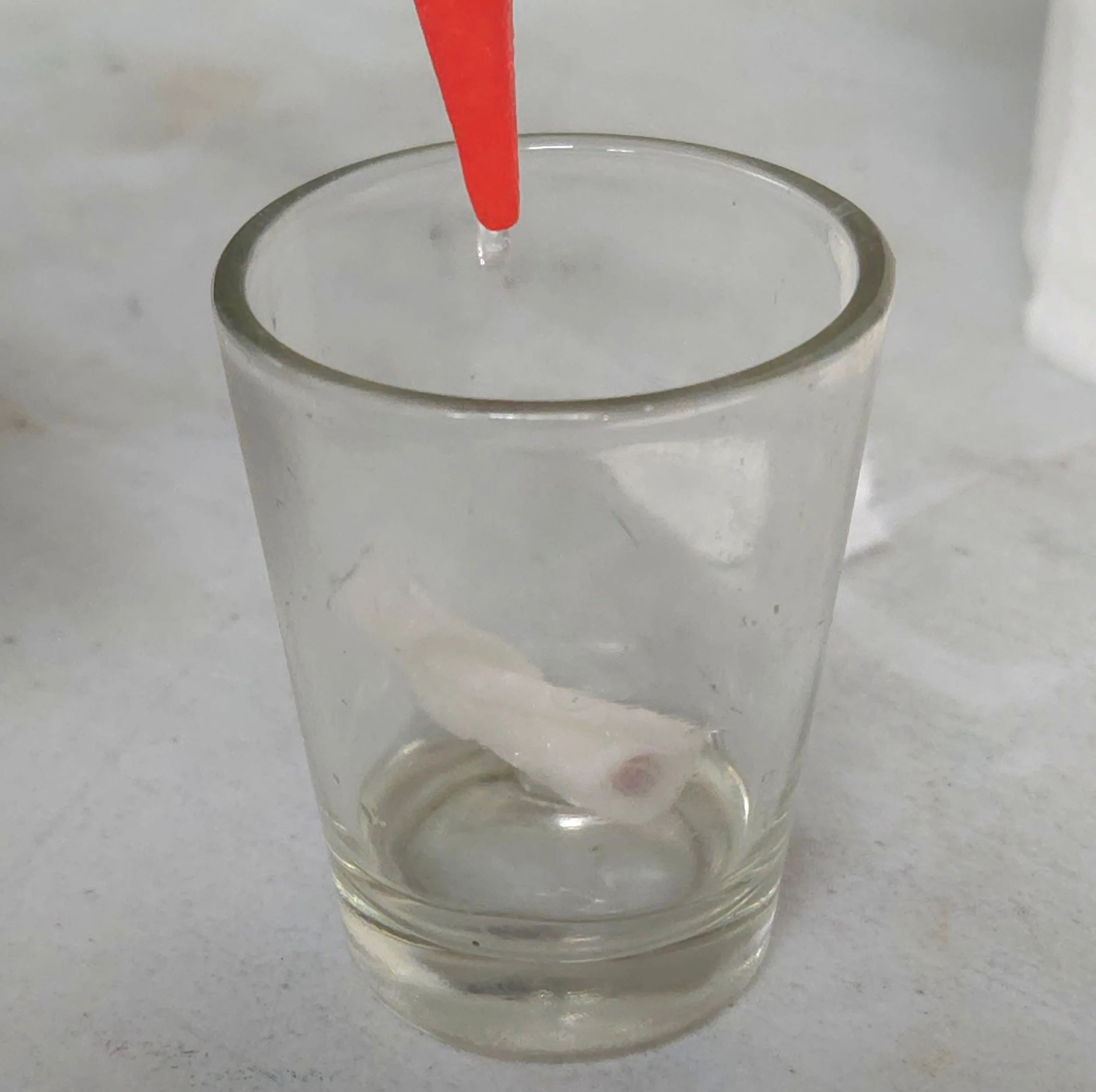 Close-up of a glass with a small amount of liquid, acetone, on a white surface.