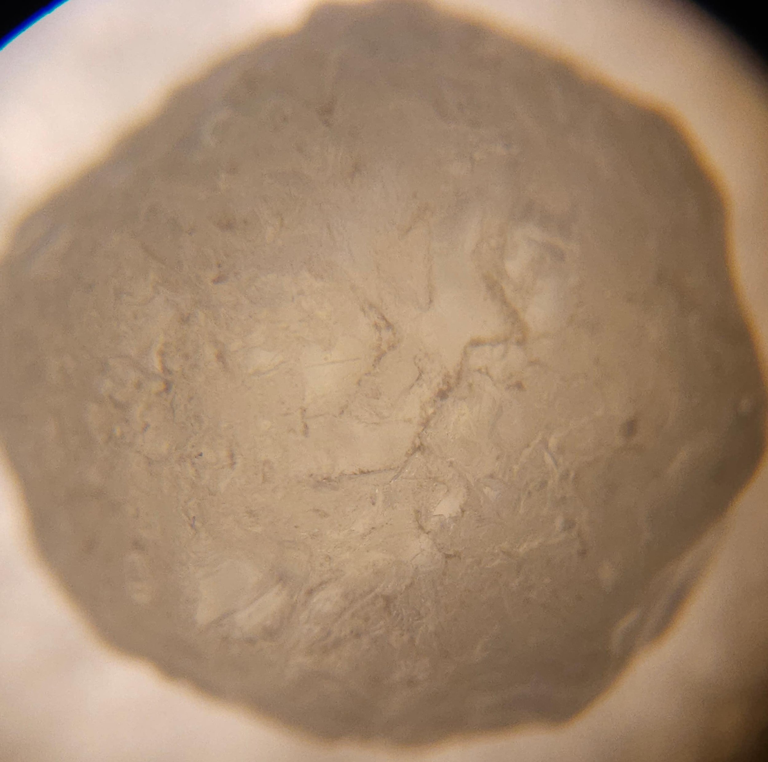 Microscope view of the inside of a rough Montana Sapphire.