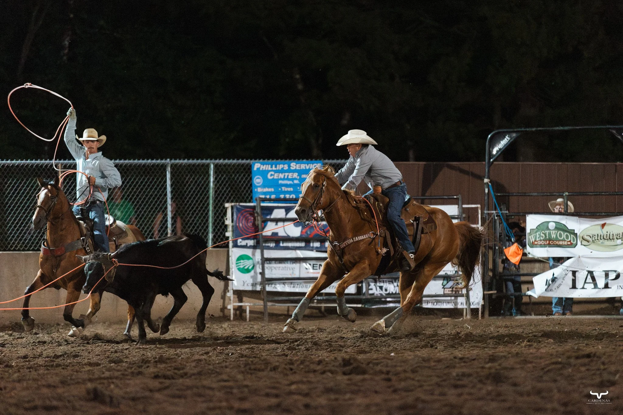 Two cowboys riding horses and roping a calf during a rodeo at night.