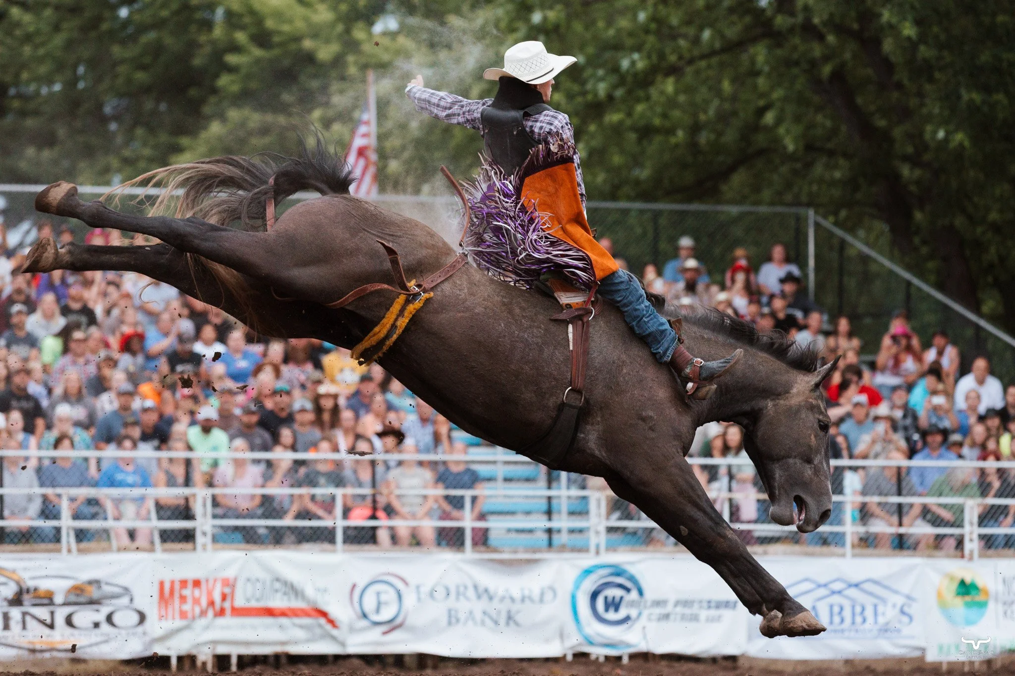 A cowboy riding a bucking horse at a rodeo, with a large crowd in the background