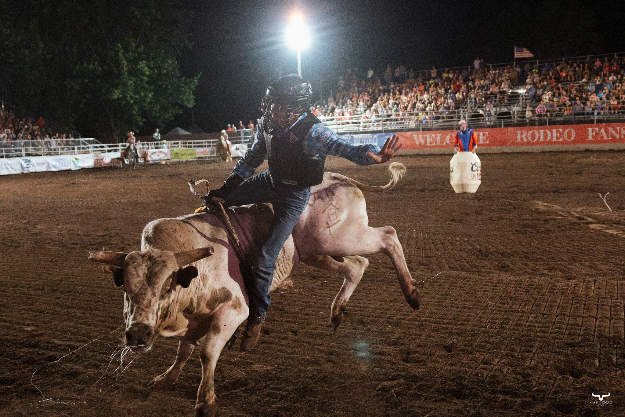 Bull Riding Price County Rodeo
