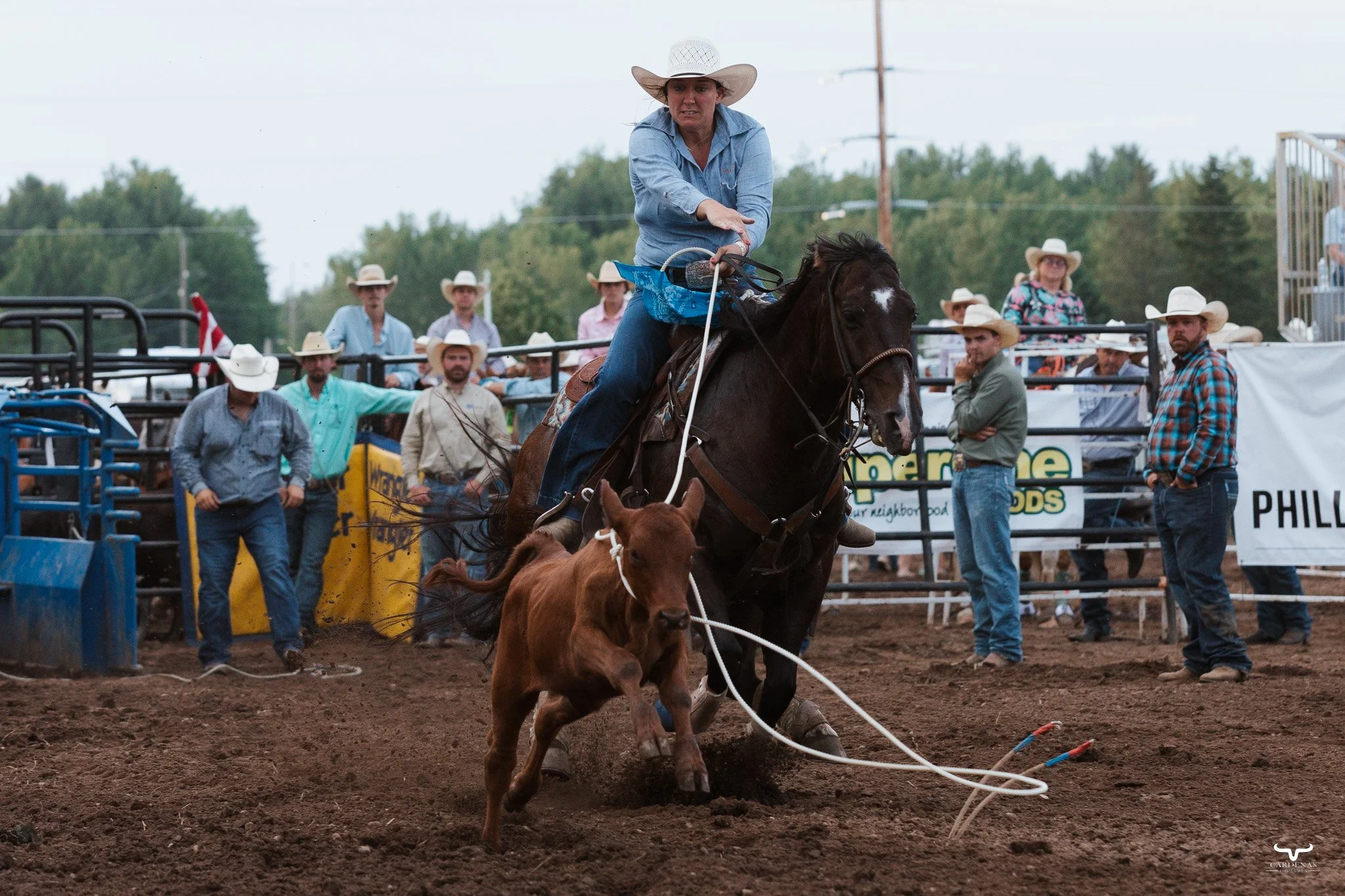 A woman riding a horse and roping a calf at a rodeo, with spectators in the background.