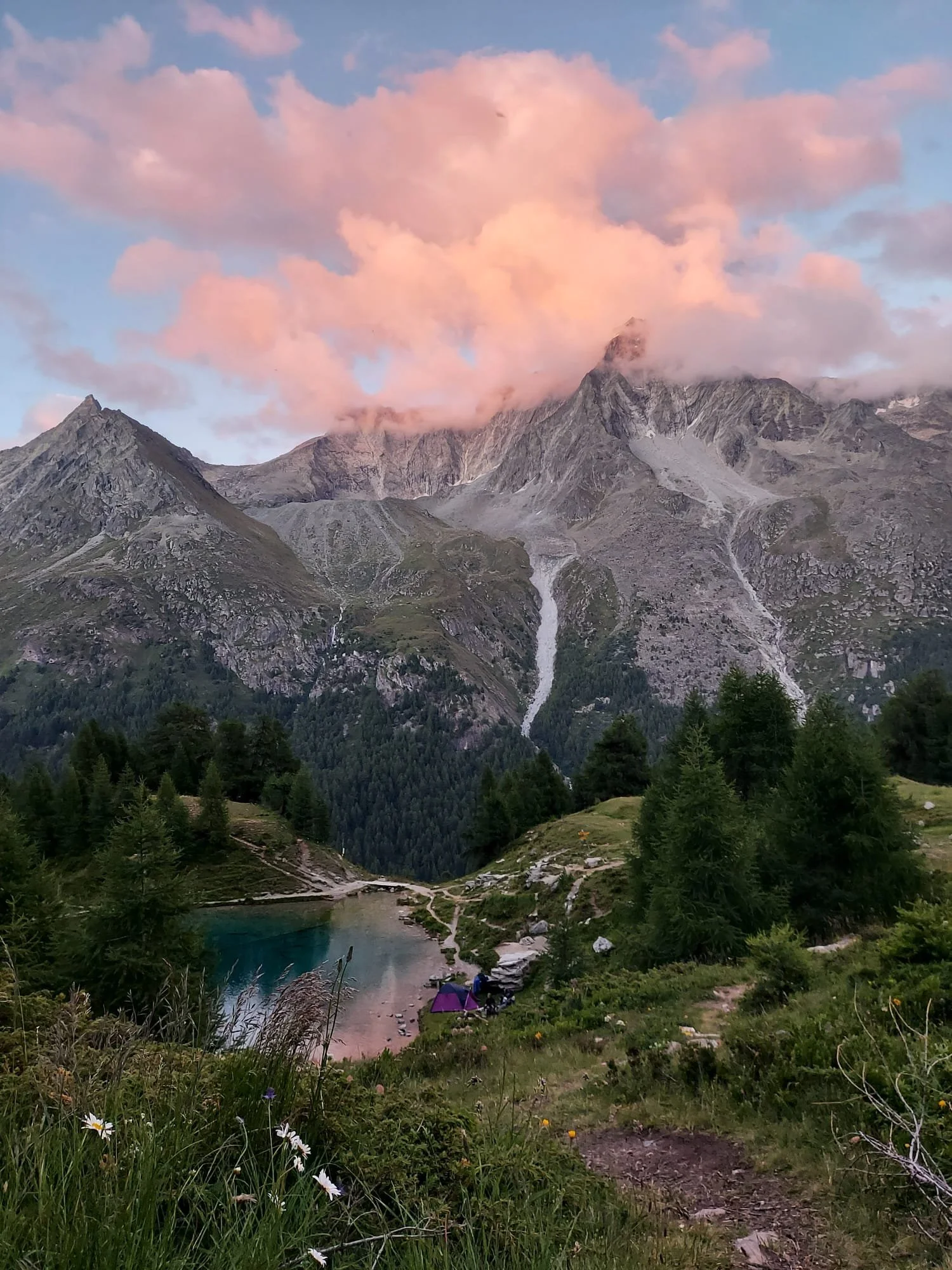 Paysage de montagnes avec un sommet enneigé partiellement couvert de nuages roses, forêt dense, lac turquoise, camping avec deux tentes violettes, sentier de randonnée, herbes et fleurs sauvages.