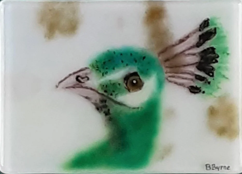 Peacock-front (2).jpg