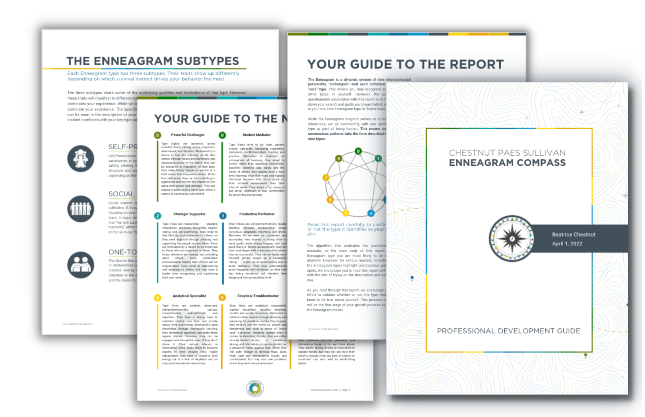 Open reports displaying graphs, charts, and text on Enneagram subtypes and personality development.