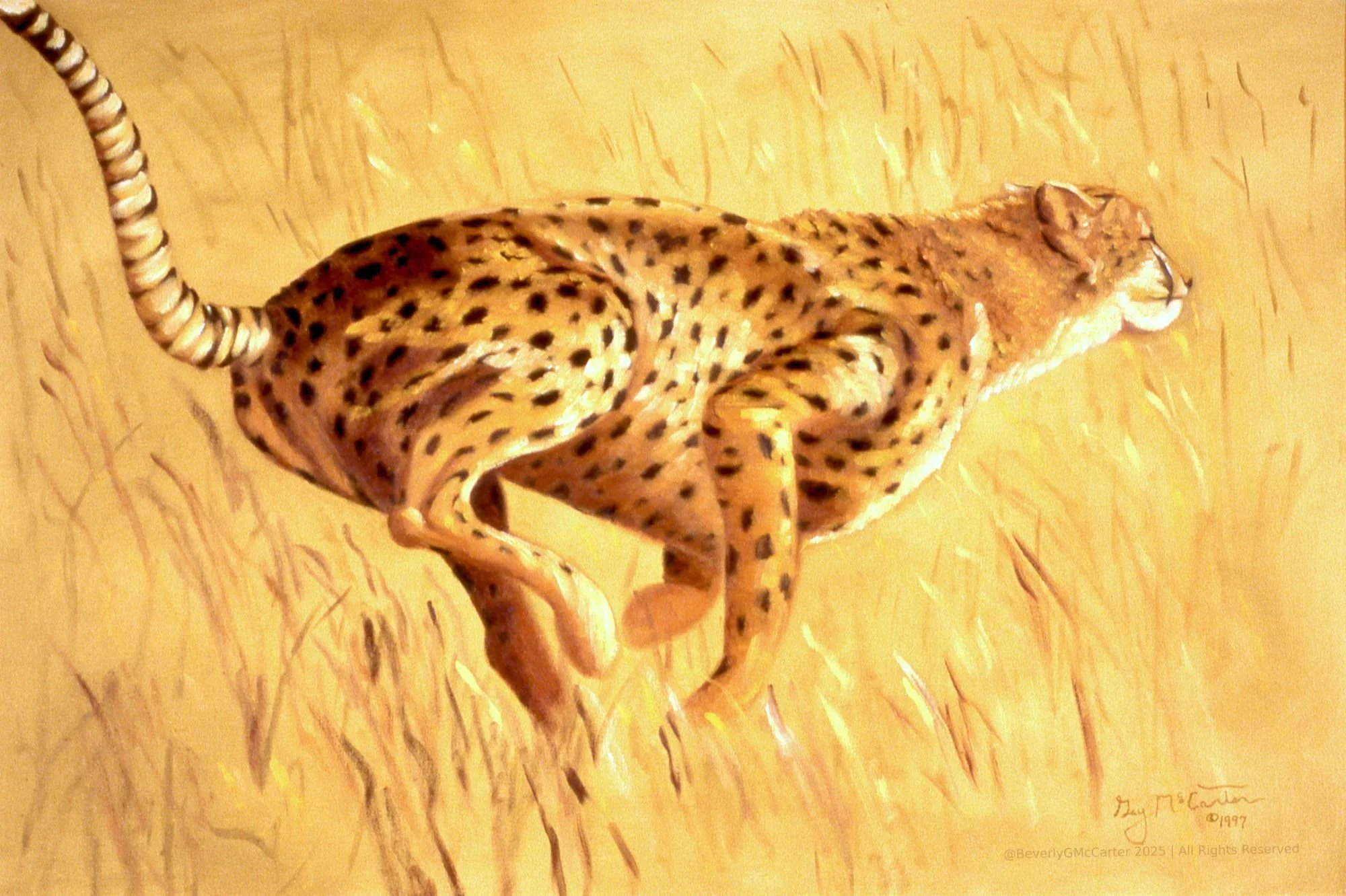 Need for Speed oil painting by Beverly G. McCarter, sprinting cheetah in savanna symbolizing instinctual motion, 24 x 36 inches on canvas.