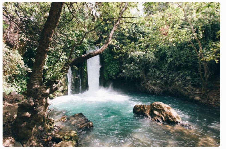 A small waterfall flows over mossy rocks into a clear turquoise stream in a lush forested canyon, with sunlight filtering through dense green foliage, creating a serene and vibrant natural landscape.
