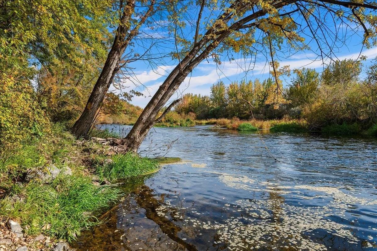 The Boise river flowing through Caldwell with trees showing fall colors.