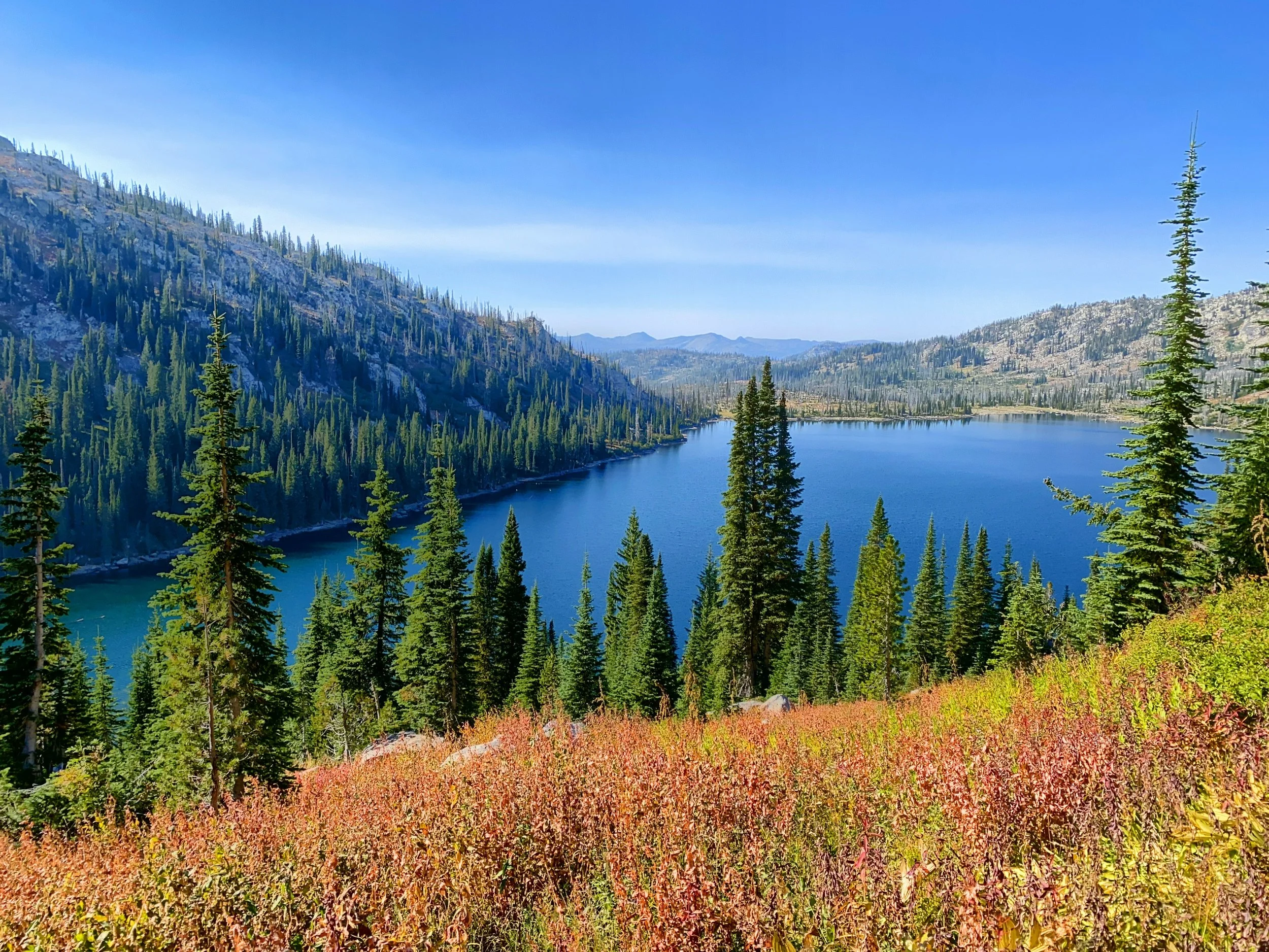 Scenic view of a blue lake surrounded by green pine trees and mountains under a clear blue sky.
