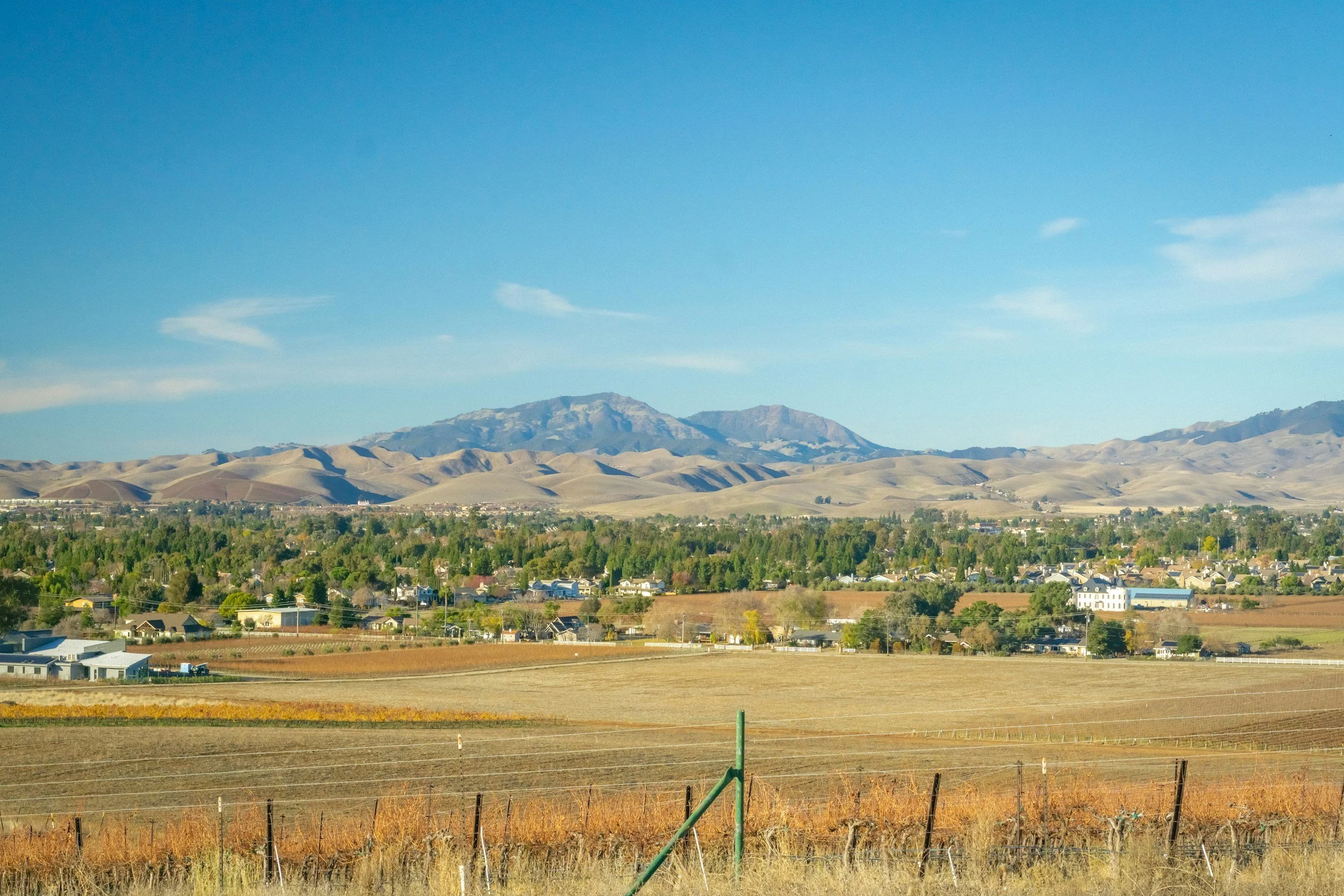 Scenic view of farmland with orange crops in the foreground, a small town in the middle ground, and rolling hills and mountains in the background under a clear blue sky.