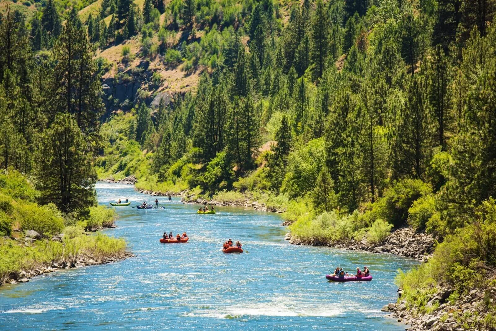 People rafting on a river surrounded by green trees and mountainous terrain.
