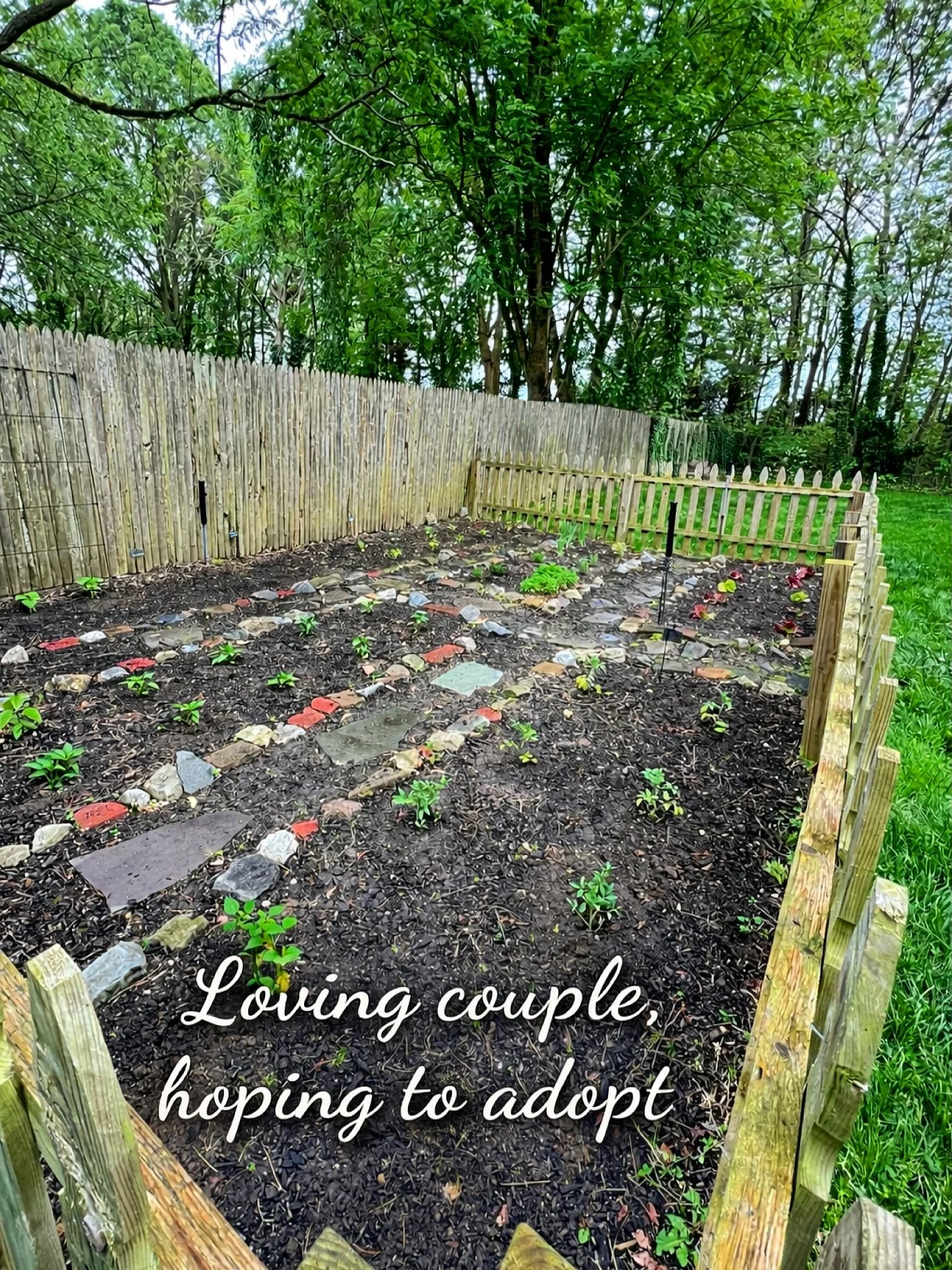 #ADOPT Hard to believe our garden will look like this in just two months! 🌱🌼

We can&rsquo;t wait to teach our future little one how to care for the land and learn where their food comes from.

🫂 Sharing this post helps us reach our future little 
