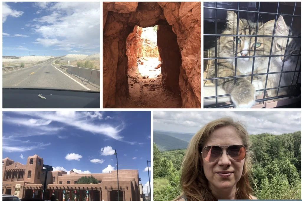 ch..ch..ch..changes!