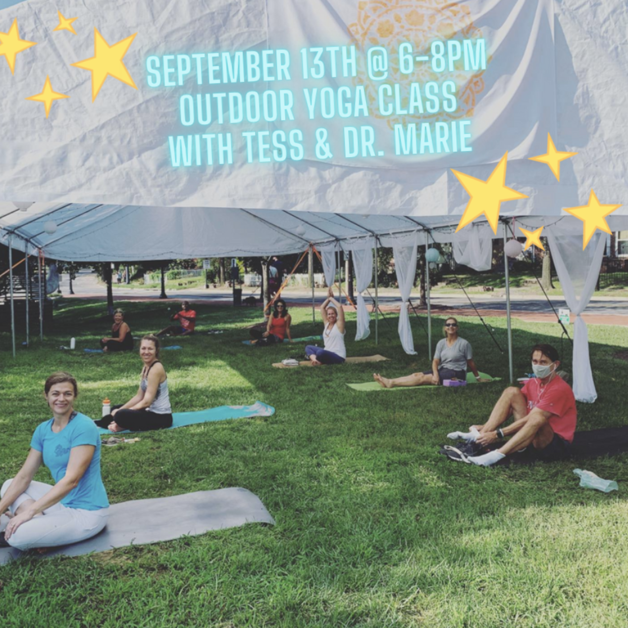 Shining the Light on Our Immune System – A Series