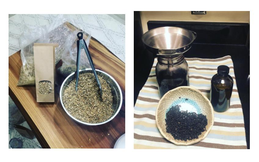 Shining The Light On Our Immune System, Part 6: Immune Memory And Self-Care For The Seasonal Shift!