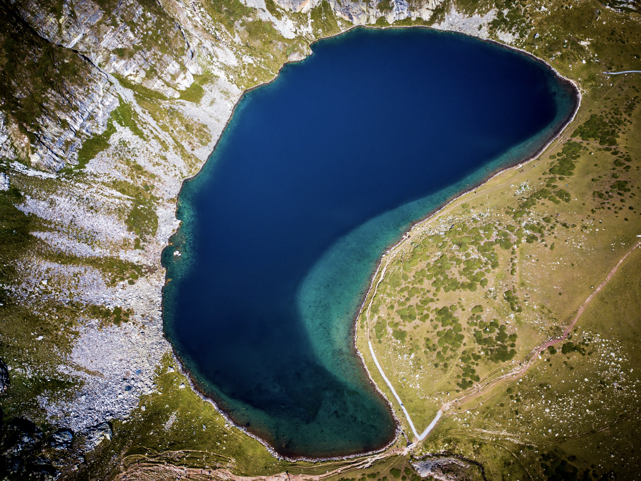 Our Body’s Most Important Stress Coping Organs, Part 1