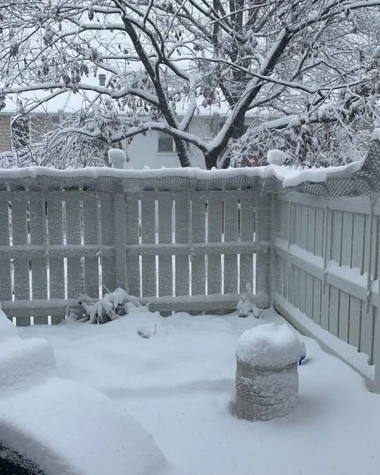 Quit your resolutions! (and do this instead) ✨