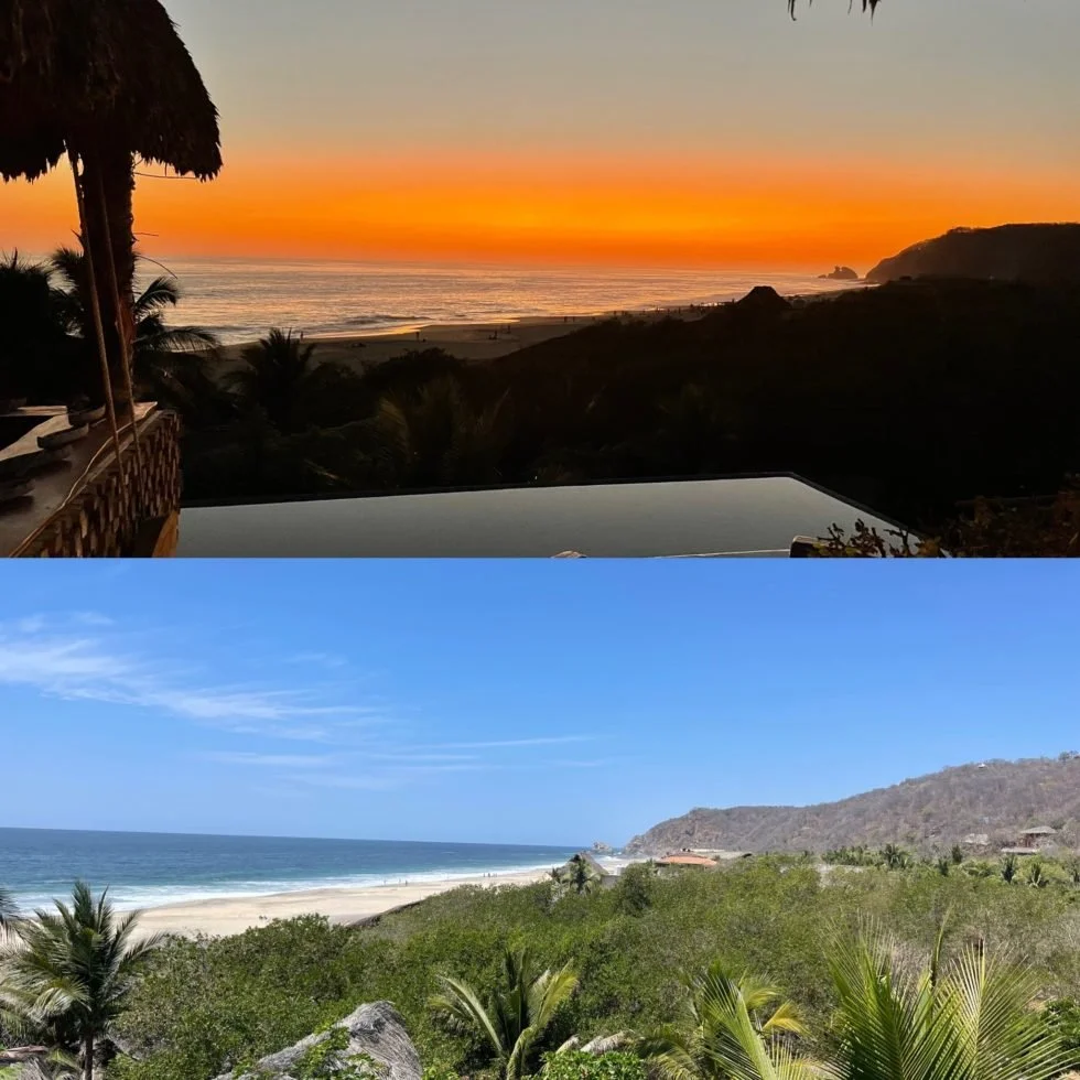 Root to Rise: 5 tips for spring transition 🌱