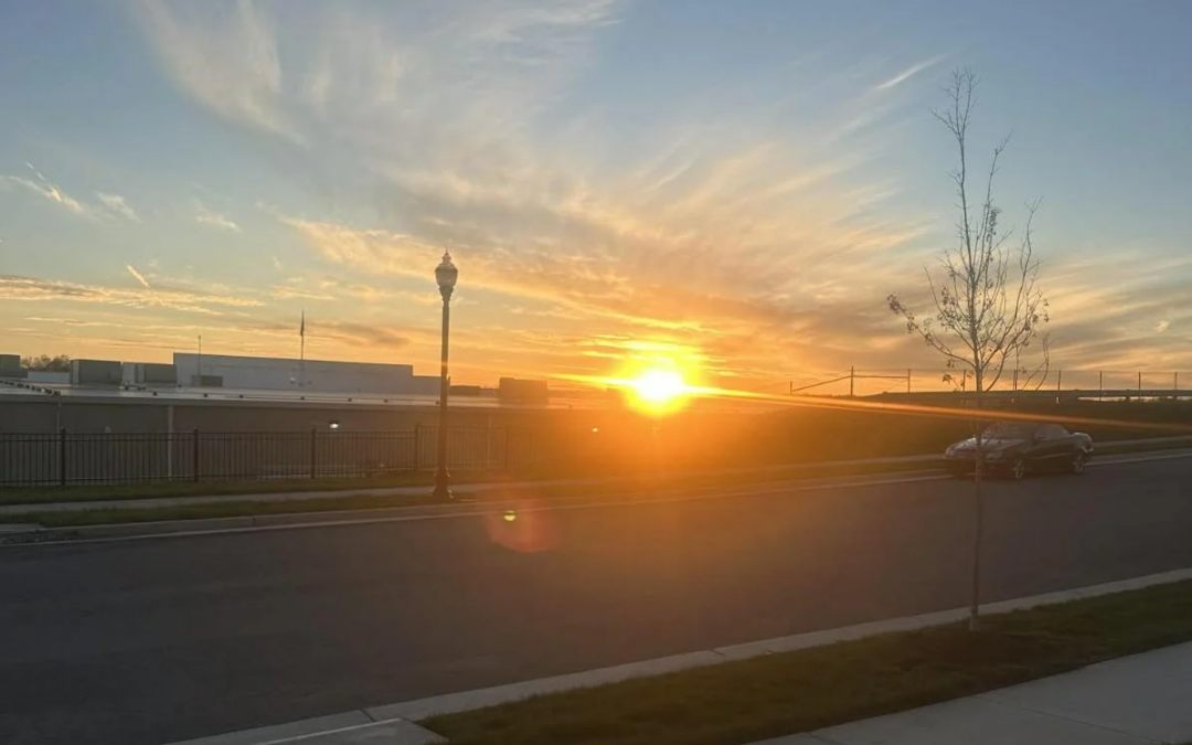 Allergies, cleansing, &amp; relationship rehab