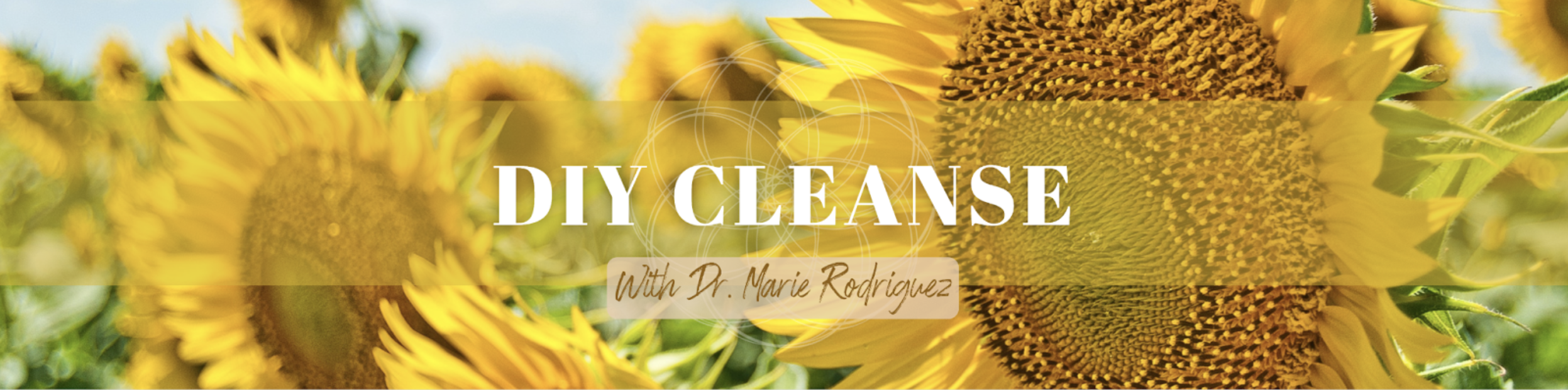 Sunflower field with yellow flowers and blue sky, overlaid with text 'DIY Cleanse with Dr. Marie Rodriguez'.