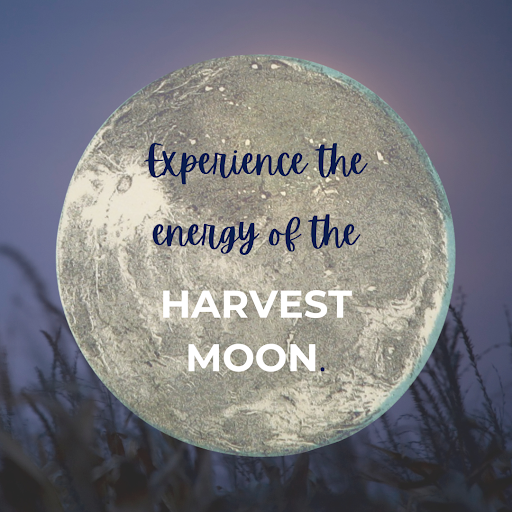 Healing Journey from 2024 . 9 . 17