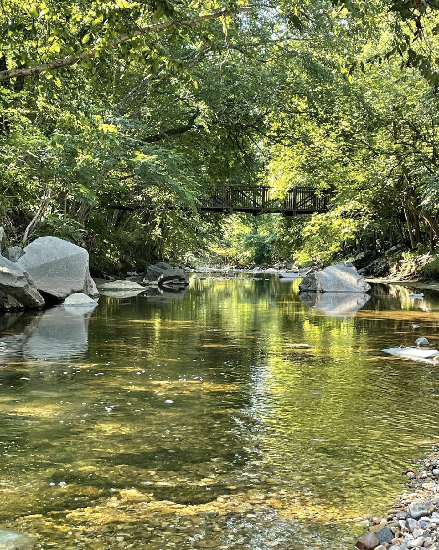 A clear, shallow river flowing through a lush, green forest with large rocks on the banks and a wooden footbridge overhead.